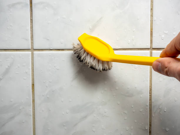 Best Local Mold Removal Service  in Veazie, ME