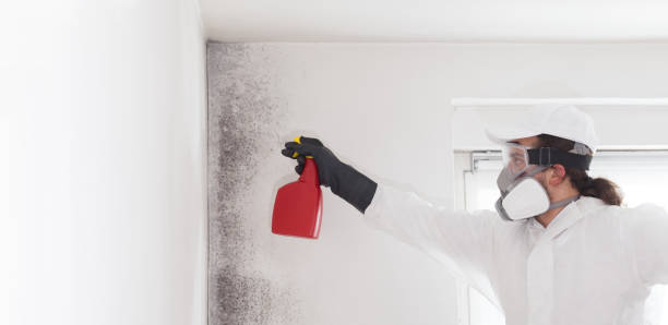 Best Water Damage Restoration  in Veazie, ME